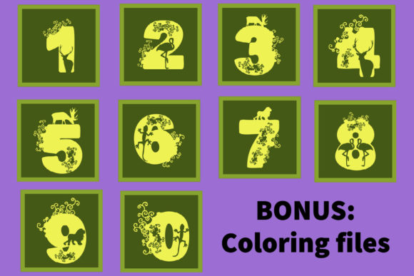 3D SVG Numbers for Shadow Boxes & Branding